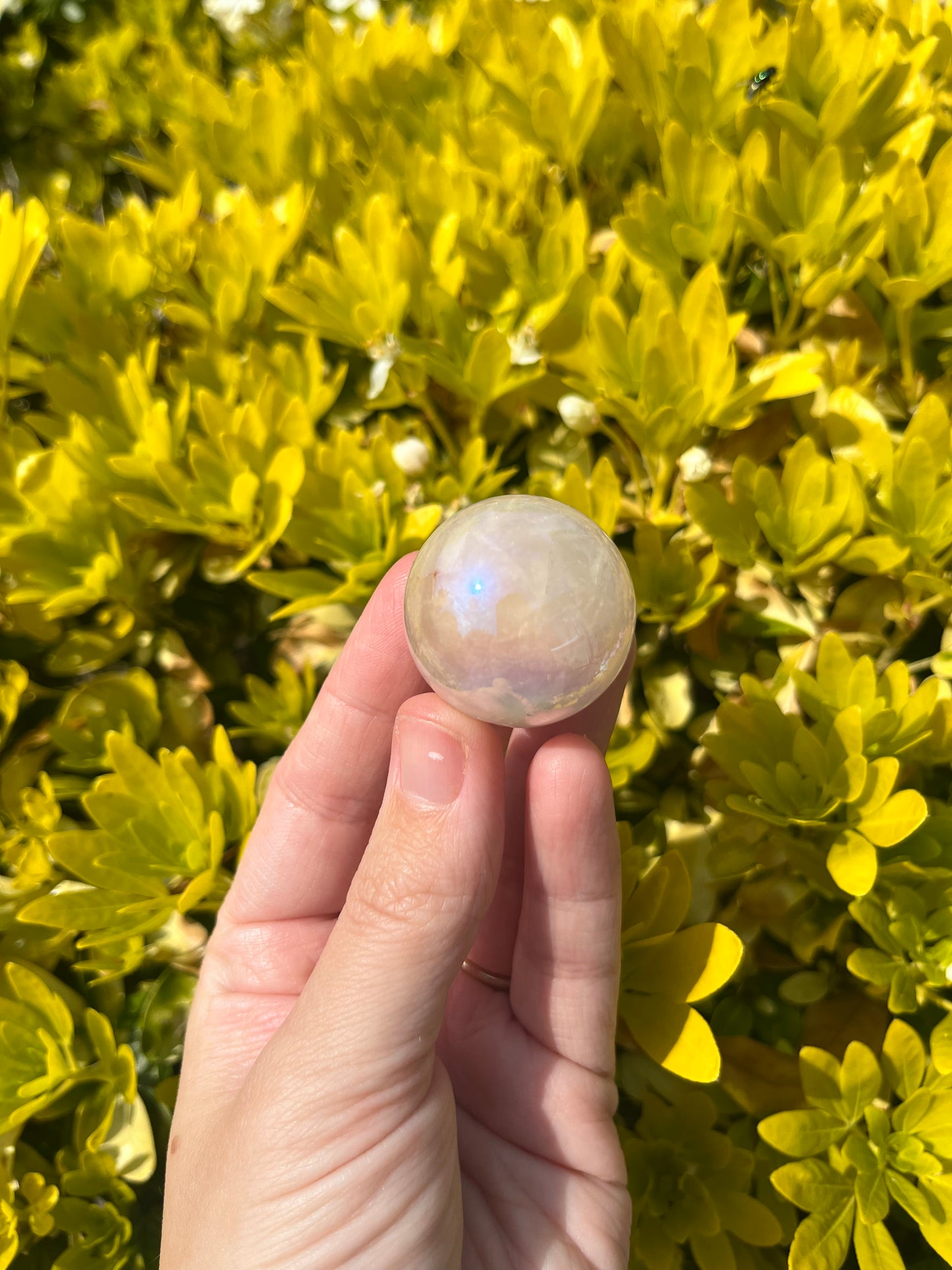 Rose Aura Quartz~ Sphere no.50