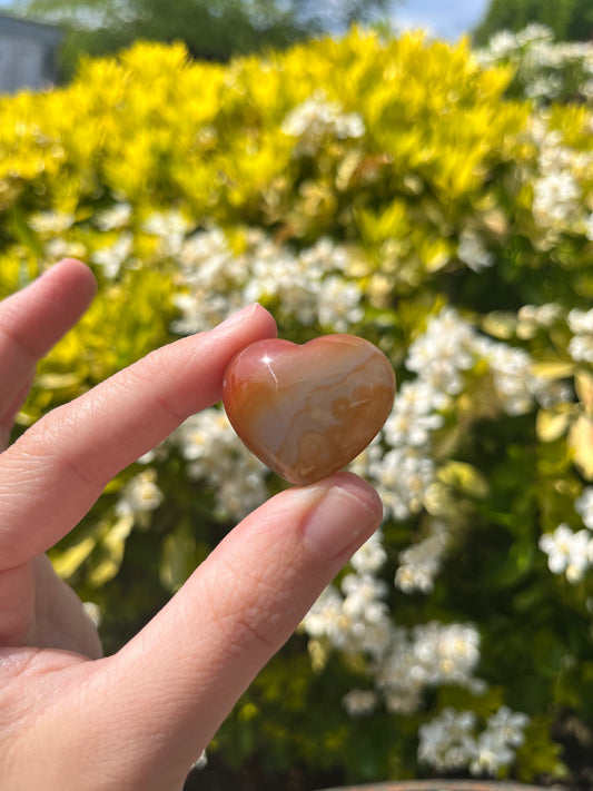 Carnelian ~ Heart no.30