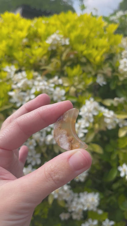 Flower Agate ~ Moon no.45